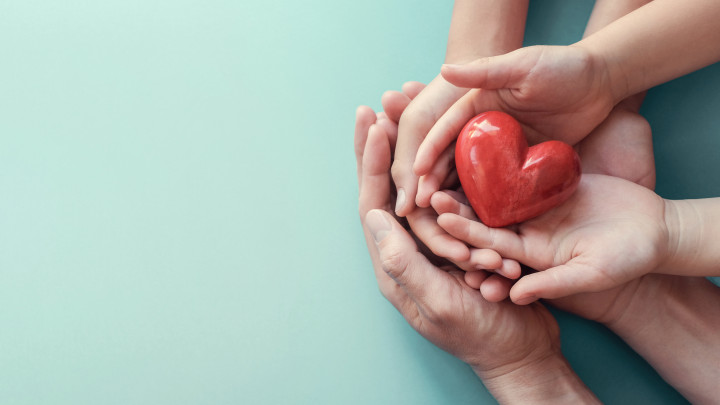 mani di famiglia che tengono in mano una pietra rossa a forma di cuore
