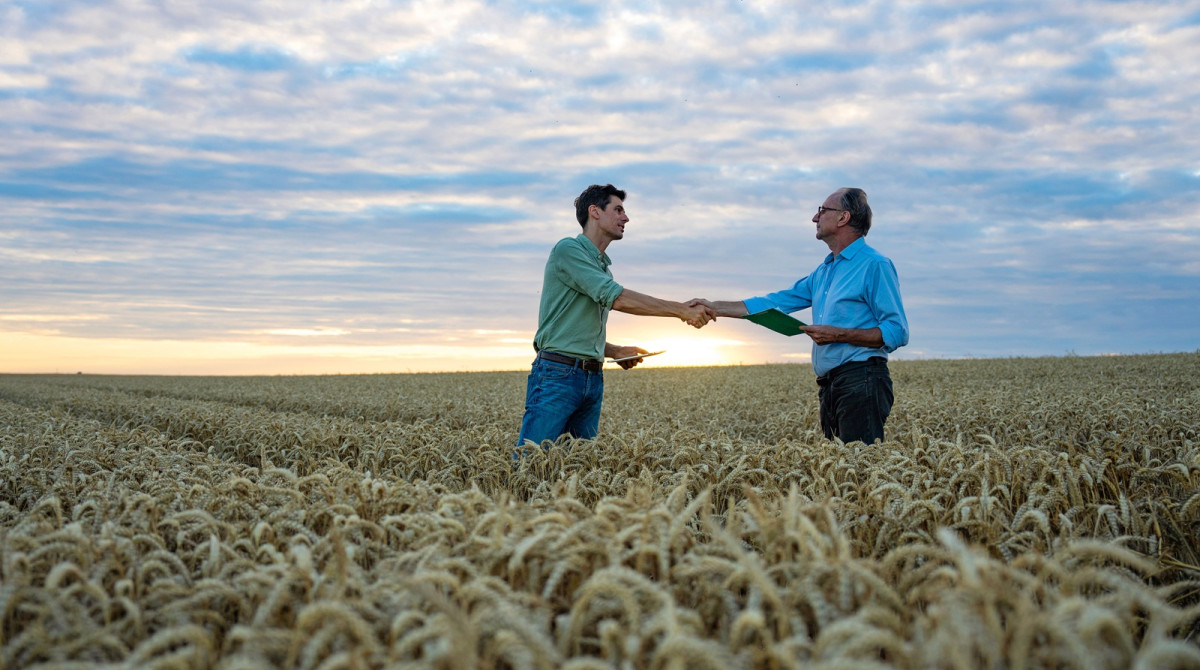 Finanziamenti Chirografari per il Settore Agricolo e Agroalimentare